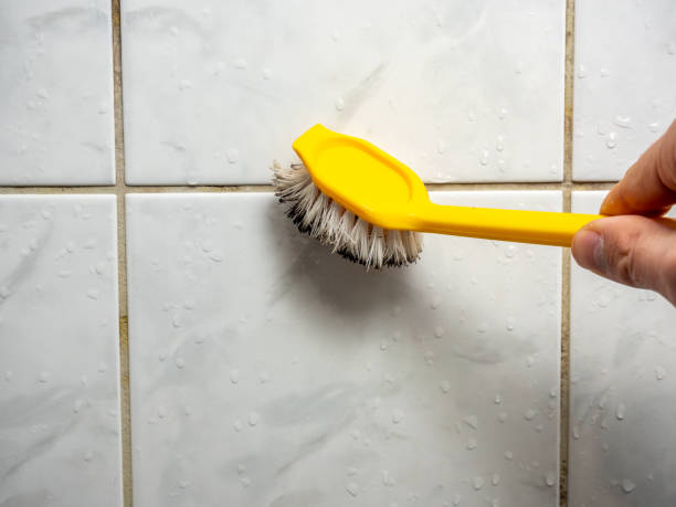 Best Office Mold Removal Services  in Concord, VA