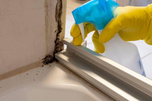 Water Damage Restoration in Concord, VA