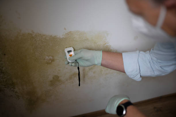 Best Water Damage Restoration  in Concord, VA