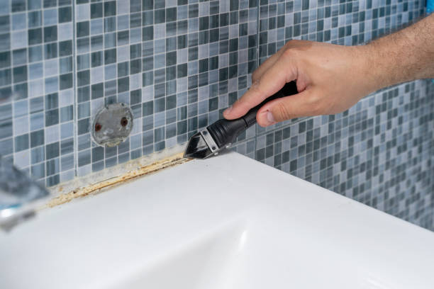 Best Home Mold Removal  in Concord, VA