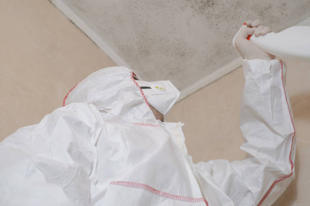 Best Home Mold Removal  in Concord, VA