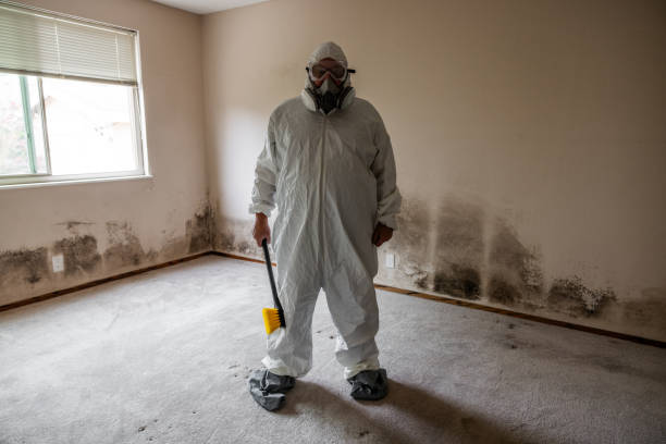 Crawl Space Mold Removal in Concord, VA
